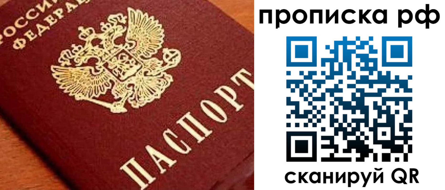 прописка законно в Курске